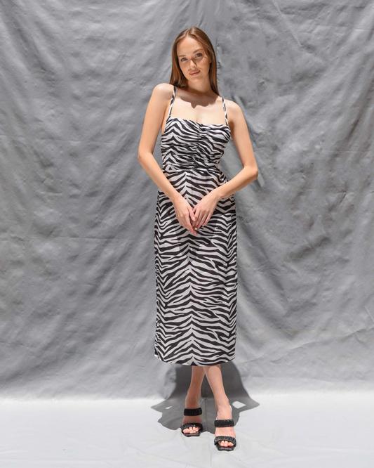 Hey you dress in Zebra print