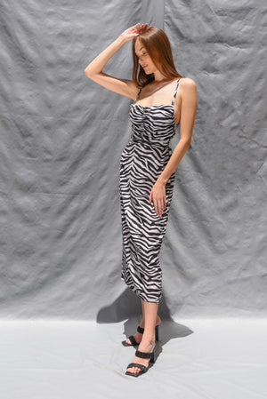 Hey you dress in Zebra print