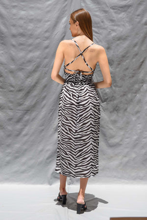 Hey you dress in Zebra print