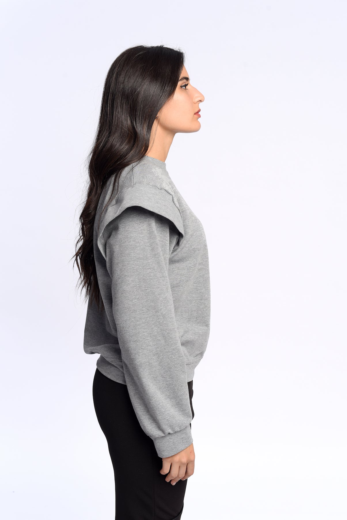 Fly sweatshirt in grey