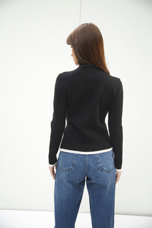 The V turtle neck in black